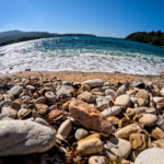 c754cad3f3acc85e95c9cd23b3e639d3 L