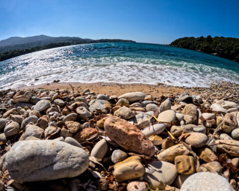 c754cad3f3acc85e95c9cd23b3e639d3 L