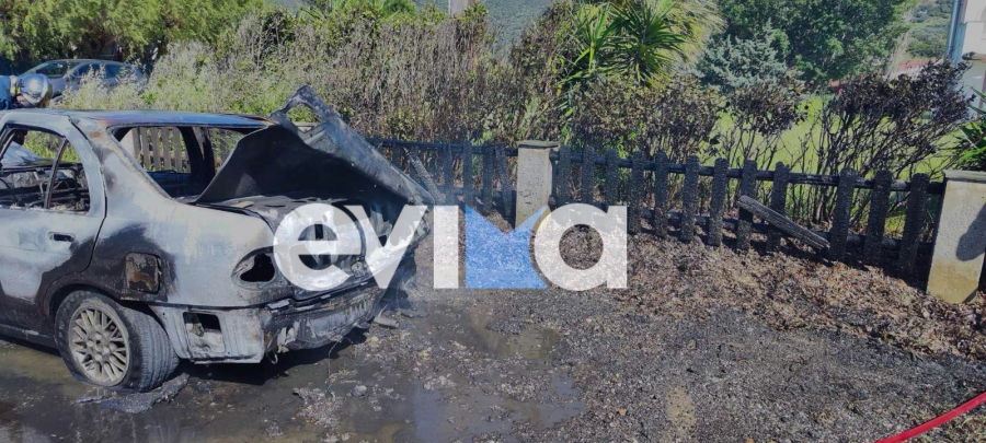 c916fbc7981fad57ae8e9a53147b8899 L