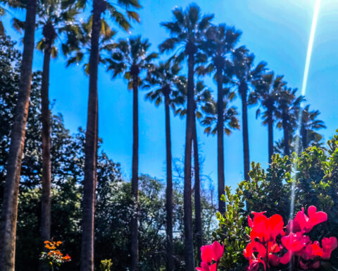 c9d1e6ed1303ca8f2e4691776065480e L