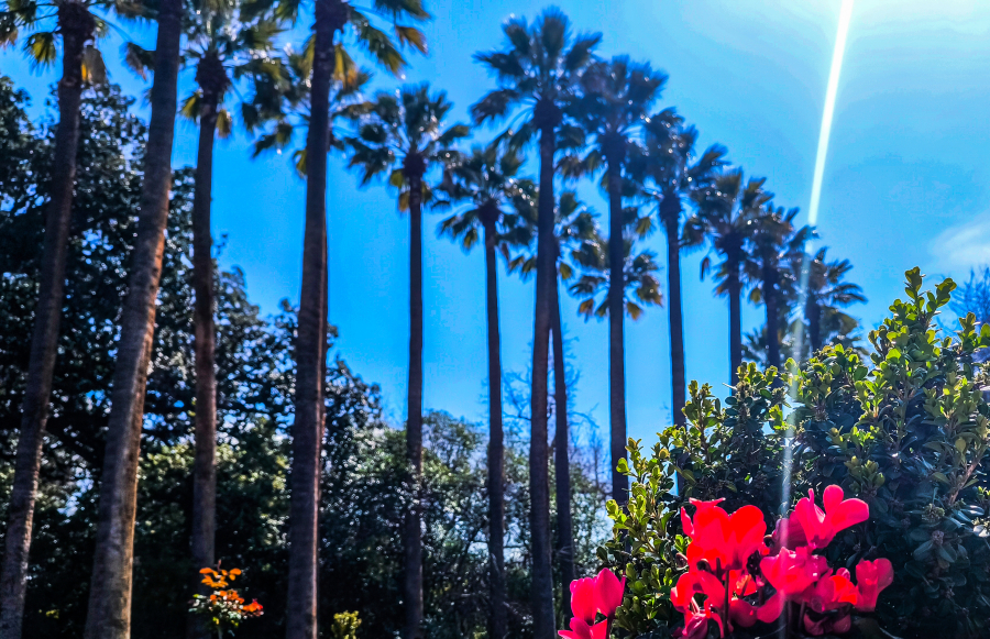 c9d1e6ed1303ca8f2e4691776065480e L