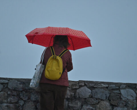 cfa6d7ef6af44f19f26ee56172bbda7b L