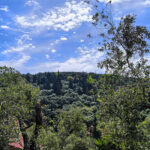 d6854c638b5d3b43a78b8b116a750be2 L