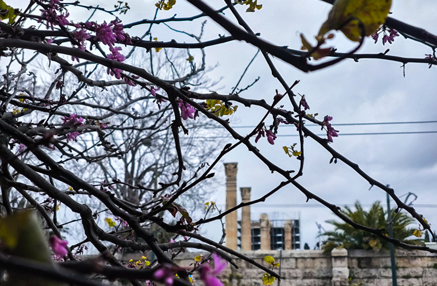 d6c7443a05cba1241bb475f95eb231ce L