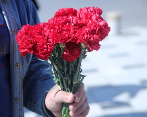 d6f9d6a6a7e7af34eb176ce873ee4655 L