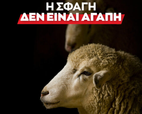 ddeb65b98bb08a401918de2b2e7d6cc2 L