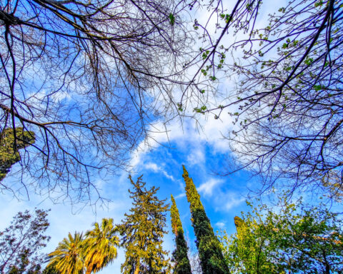 e3ead06efabf8fb23beb5055af3d5017 L