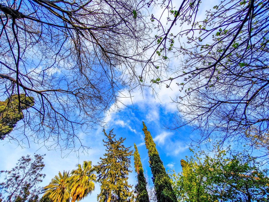 e3ead06efabf8fb23beb5055af3d5017 L