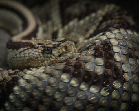 eab487215d64fc9c740f0d2fc03b7cca L