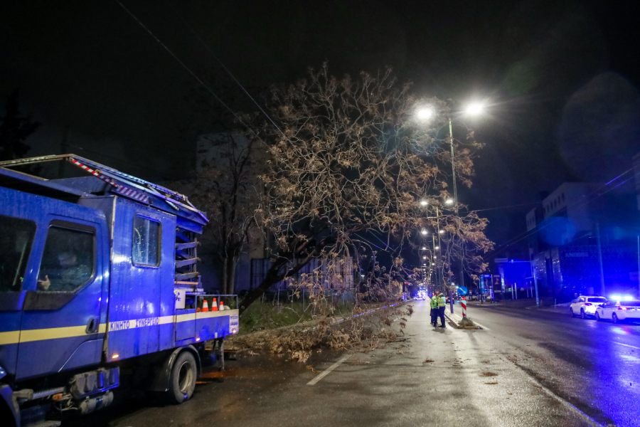 ecf1a39e87d78889097fd454e63e5858 L