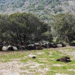 f3b63f1fda2e8d2dbe70a162e19d8dce L