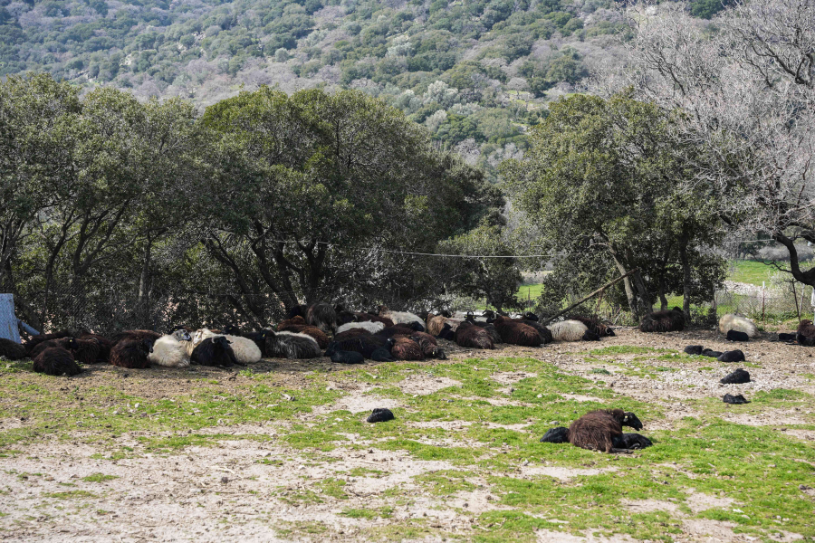 f3b63f1fda2e8d2dbe70a162e19d8dce L