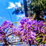 f4791d722039b14c3bf63f5581c7d177 L