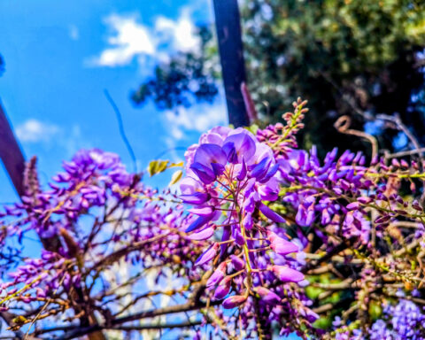 f4791d722039b14c3bf63f5581c7d177 L