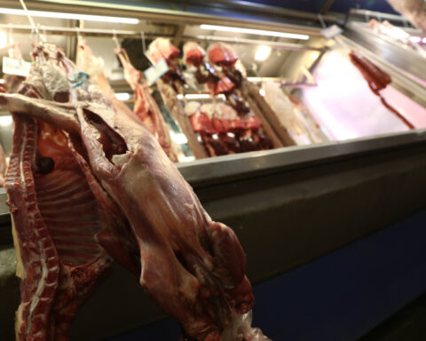 fa6ad52e20f9055362947a70ebcb5725 L