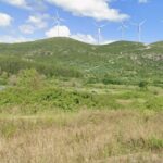 gemini generated image typosepeirou 9