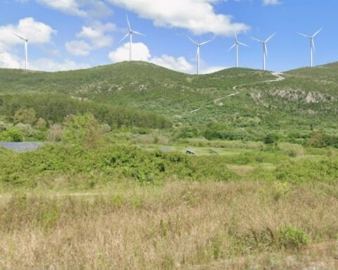 gemini generated image typosepeirou 9