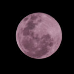 f621003128411ed8809dea4b30271079 L