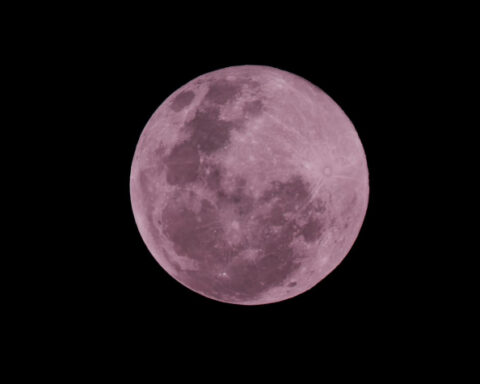 f621003128411ed8809dea4b30271079 L