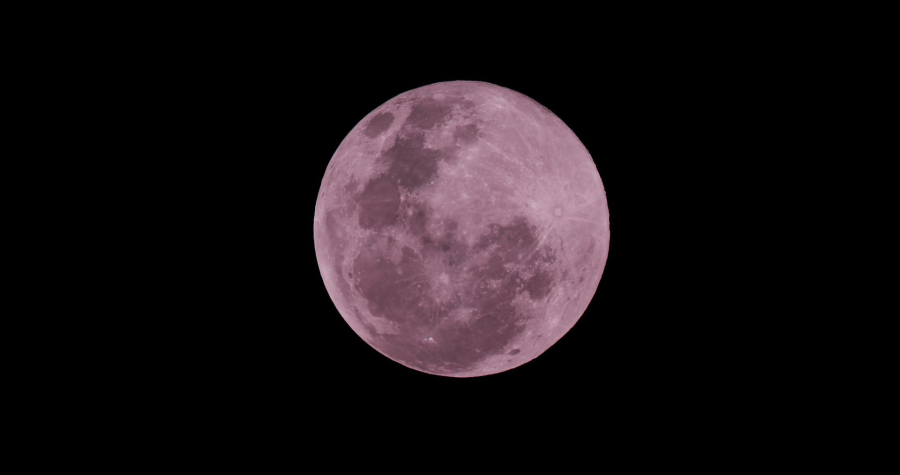 f621003128411ed8809dea4b30271079 L