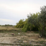 f740c7f5e0bde8f1398ab1eb2a8ced32 L