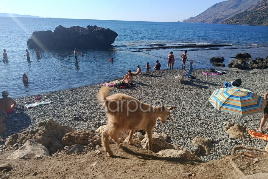 05c75c43bd0109e7c61b6e7d75b56d7f L