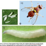 c5d408b7f549428fba41a95dfb353c98 L