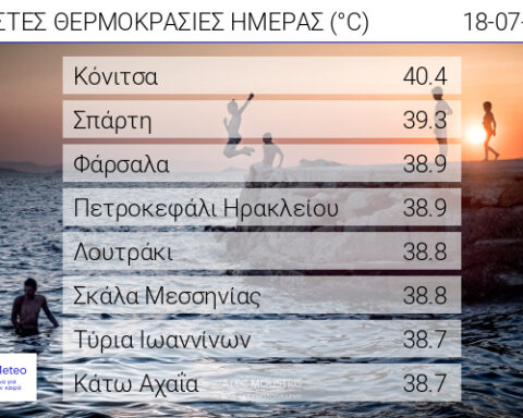 web daily max temp