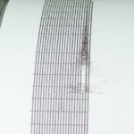 25beb062c15d68e486b6a4ab3d5ce7f0 L