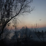 5bbe5cd65797bb3ad3d10a9a412a4b02 L
