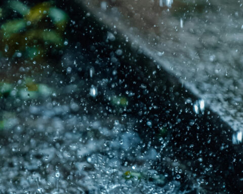 45c1467def27b4e558f34abf4d754a67 L