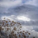 images 2026 09 18t085139209