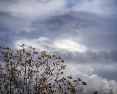 images 2026 09 18t085139209