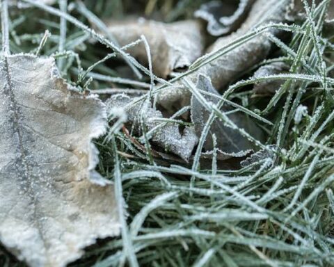 images 2026 10 05t092642764